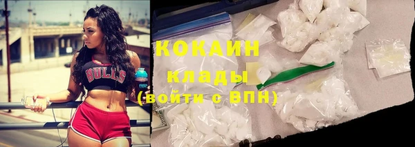индика Ростов
