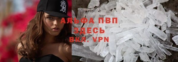 прущие грибы Абдулино