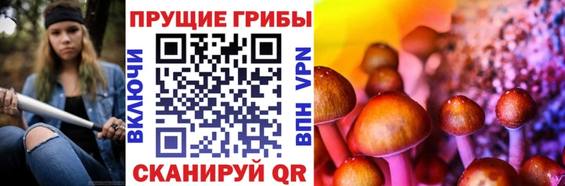 mega онион  Бирюсинск  Галлюциногенные грибы ЛСД  закладки 